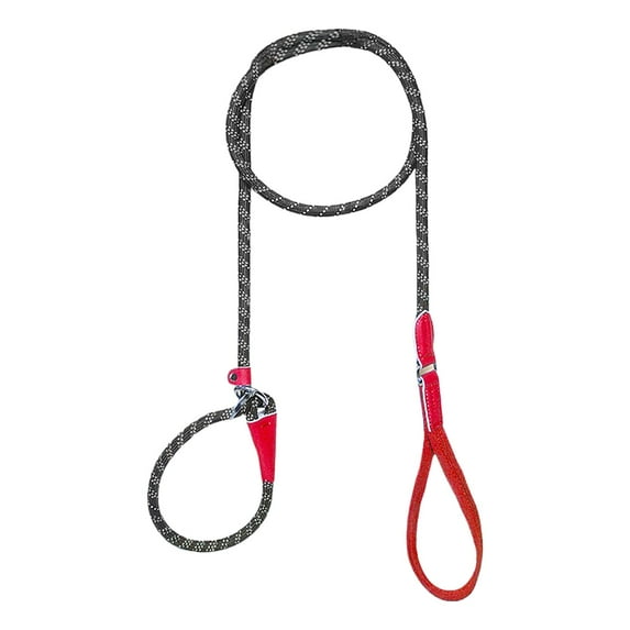 Gazechimp Dog Chain Dog Training Leash Puppy Ribbon Traction Rope for Running Home Outdoor Red