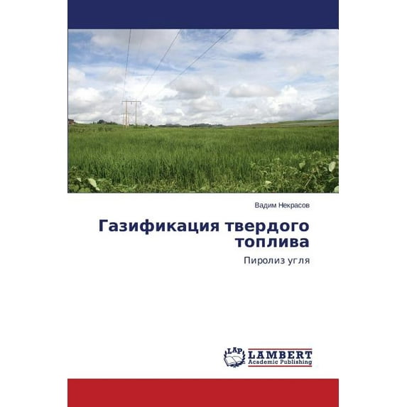 Gazifikatsiya tverdogo topliva (Paperback)