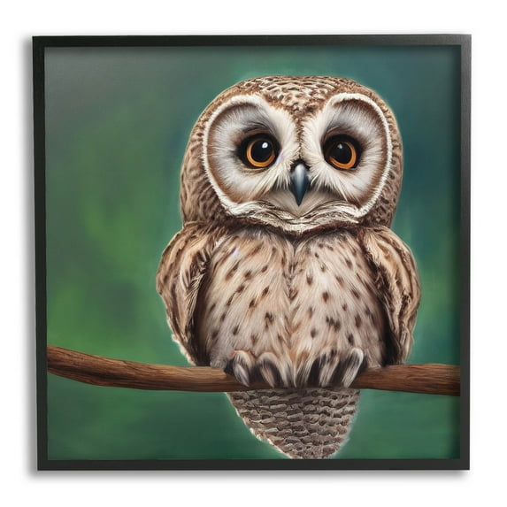 Gazing Spotted Owl Nature Animals & Insects Painting Black Framed Art Print Wall Art