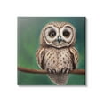 thumbnail image 1 of Gazing Spotted Owl Nature Animals & Insects Painting Gallery Wrapped Canvas Print Wall Art, 1 of 7