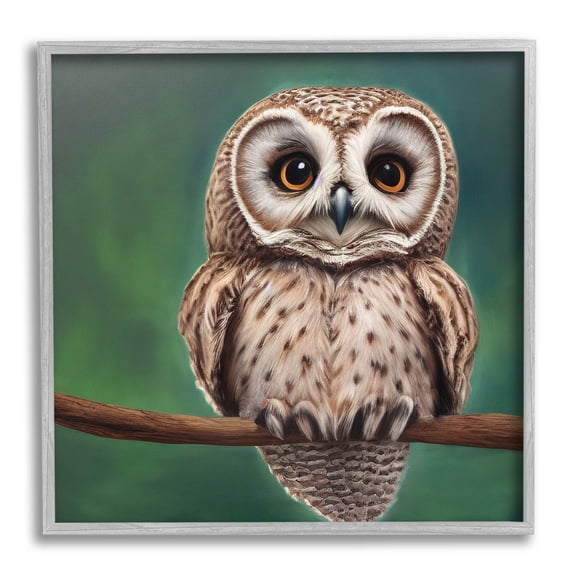Gazing Spotted Owl Nature Animals & Insects Painting Gray Framed Art Print Wall Art
