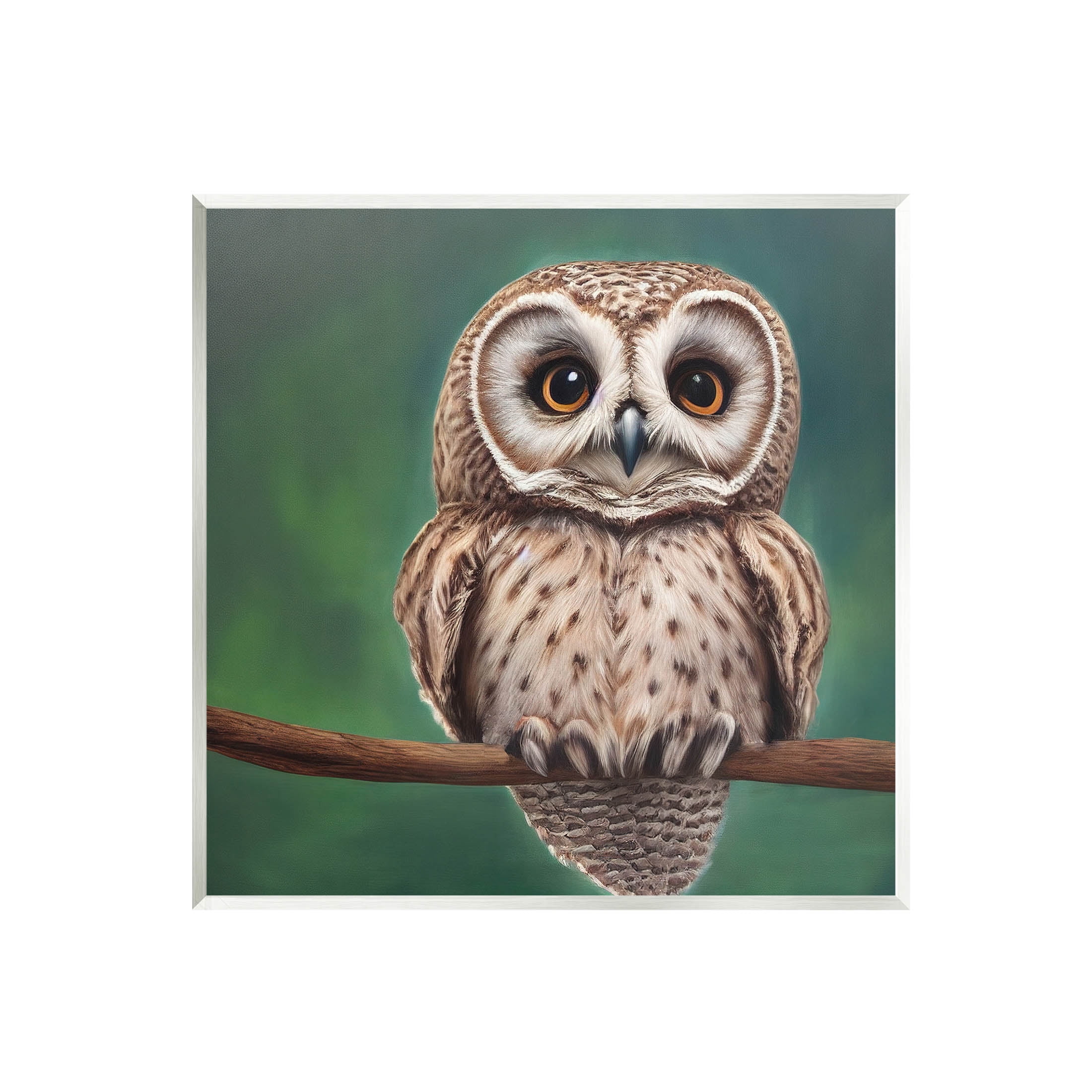 Gazing Spotted Owl Nature Animals & Insects Painting Unframed Art Print Wall Art