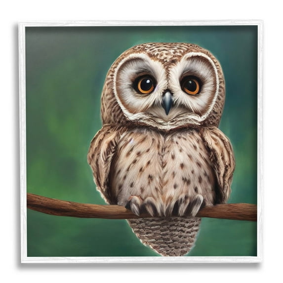 Gazing Spotted Owl Nature Animals & Insects Painting White Framed Art Print Wall Art