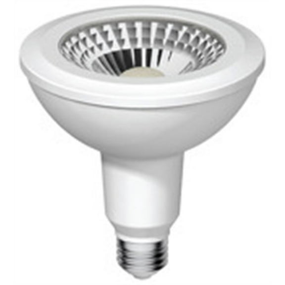 Ge Current LED Bulb,PAR38,2700K,1300 lm,16W,PK2  LED16DP389CWW-2P