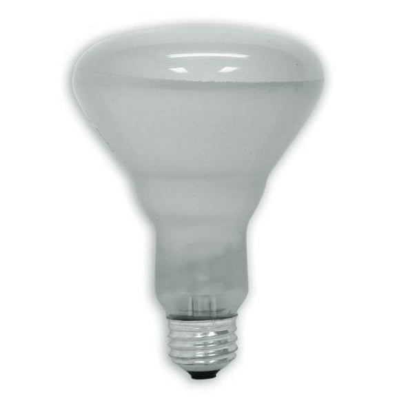 Ge Lighting 46855 65 Watt Reflector Flood Light Bulb Br30 TEJ