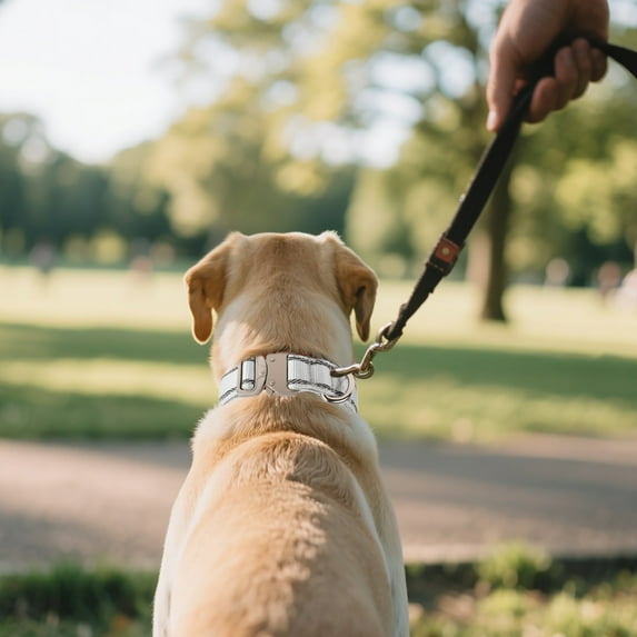 GeBuSn Reflective Nylon Dog Collars Reinforced Heavy Duty Pet Collar With Metal Quick Release Buckle Adjustable For Medium And Large Dogs(28 36cm)1pc (Yellow)