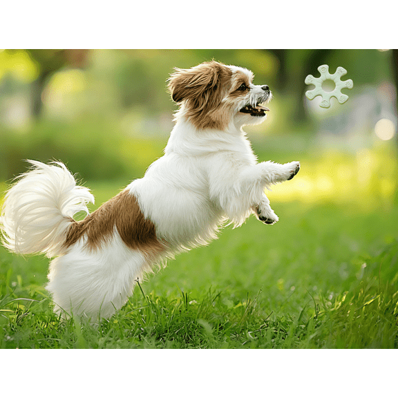 Gear-Shaped Dog Frisbee: The Ultimate Interactive Flywheel Toy for Playful Pups