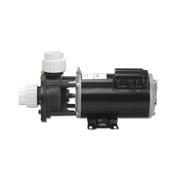 Gecko 02607000-1010 Flo-Master FMCP 0.75HP 2 Speed 115V Pump 48 Frame