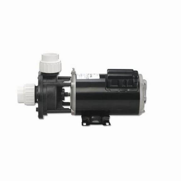 Gecko Alliance 061250001040 4 hp Flo-Master XP2 Series Pump- 230V - Dual