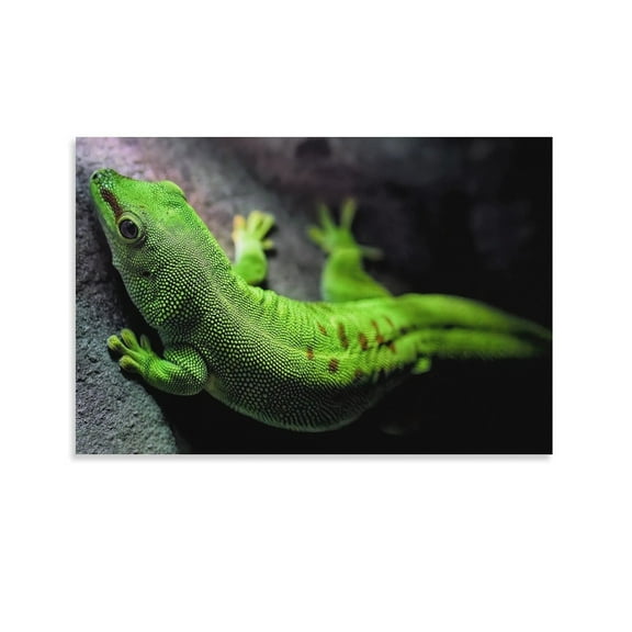 Gecko Cute Animal Wall Art Poster Gifts Bedroom Prints Home Decor Hanging Picture Canvas Painting Posters 08x12inch(20x30cm)