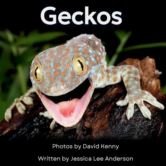 Junior Animal Explorers Geckos: Get to Know More About These Vocal Lizards!, (Paperback)