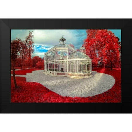 Gee, Tonee 14x11 Black Modern Framed Museum Art Print Titled - Gradignan-Glasshouse II