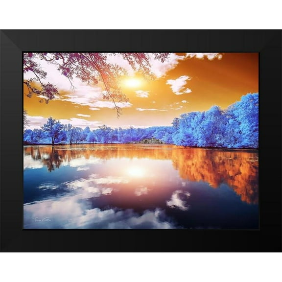 Gee, Tonee 14x12 Black Modern Framed Museum Art Print Titled - Double Reflections-Majolan s Park-Bordeaux - Infrared Photography