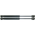 thumbnail image 1 of Geelife For Challenger Set of 2 Trunk lid Lift Supports Driver & Passenger Side Pair, 1 of 9