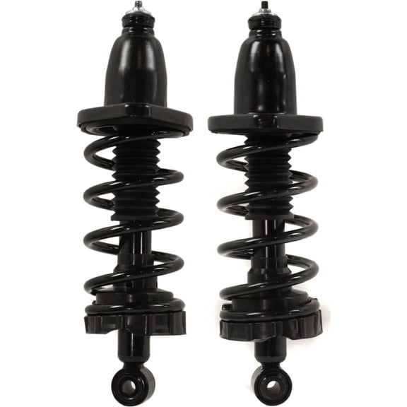 Geelife Pair Set of 2 Shock Absorbers And Strut Assembly Rear Driver & Passenger Side