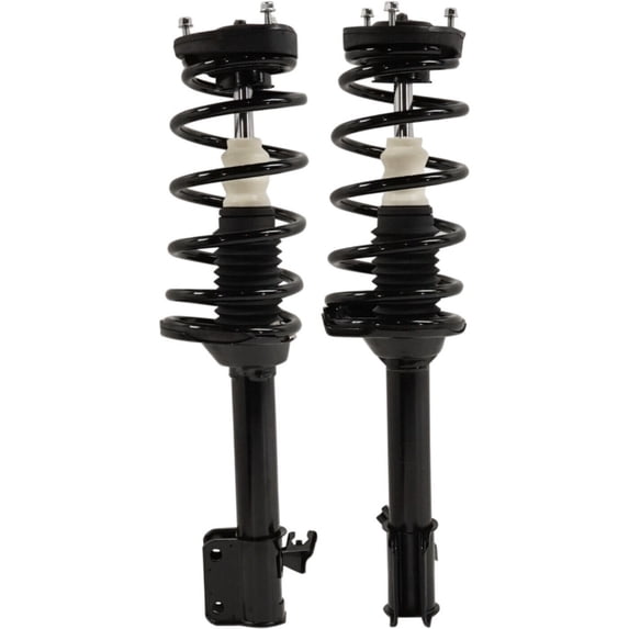 Geelife Set of 2 Shock Absorbers And Strut Assembly Rear Driver & Passenger Side Pair