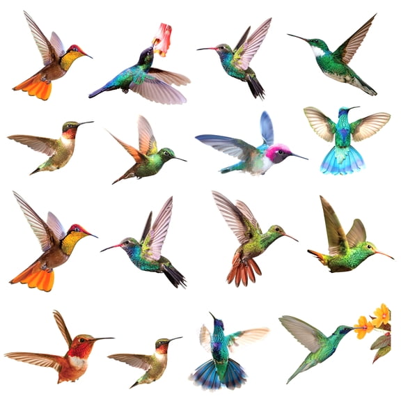 Geemin 9 Sheets Hummingbird Window Clings Anti-Collision Wall Sticker Prevent Bird Strikes Decals on Window Glass Decoration