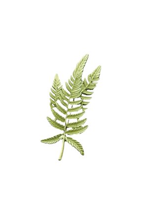 Nature Theme Corsage Pin Plant Shape Brooch Unique Pin Clothing Brooch Alloy Texture for Friendship and Celebration
