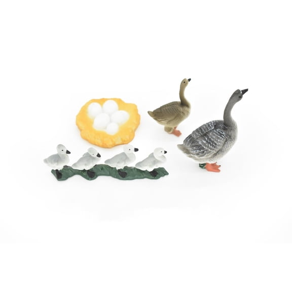 Geese, Geese Life Cycle, 4 Stages, Museum Quality, Educational, Hand Painted, Rubber Bird, Realistic Toy Figure, Diorama Model, Kids, Gift, 2 1/2 Inches. CH04 B231