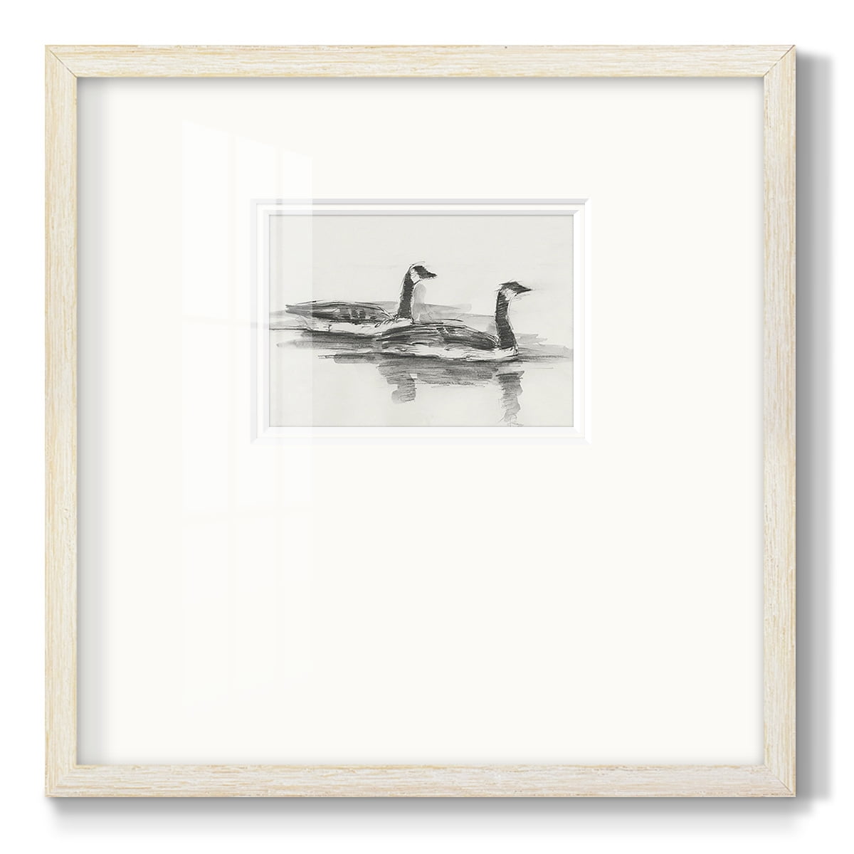 Geese Study IPremium Framed Print