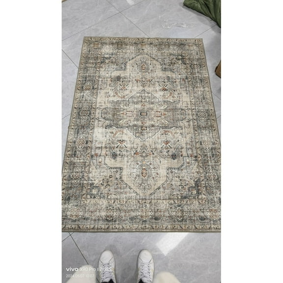 Geetinfly 2*6FT Area Rugs 980Gsm 100% Polyester Rug Terry Velvet 200 Washed Folded Printed Carpet - Persia - Weiyang Beige