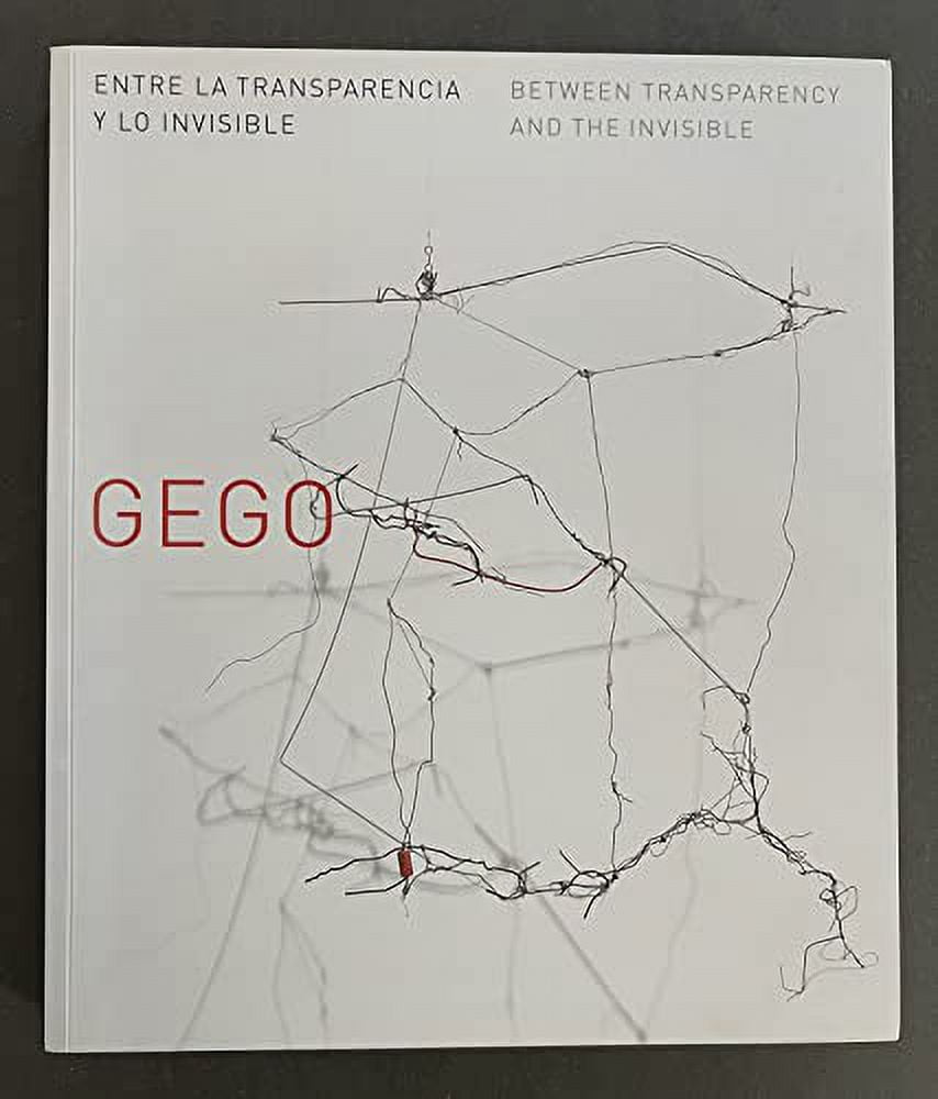 Pre-Owned Gego: Between Transparency and the Invisible (Houston Museum ...