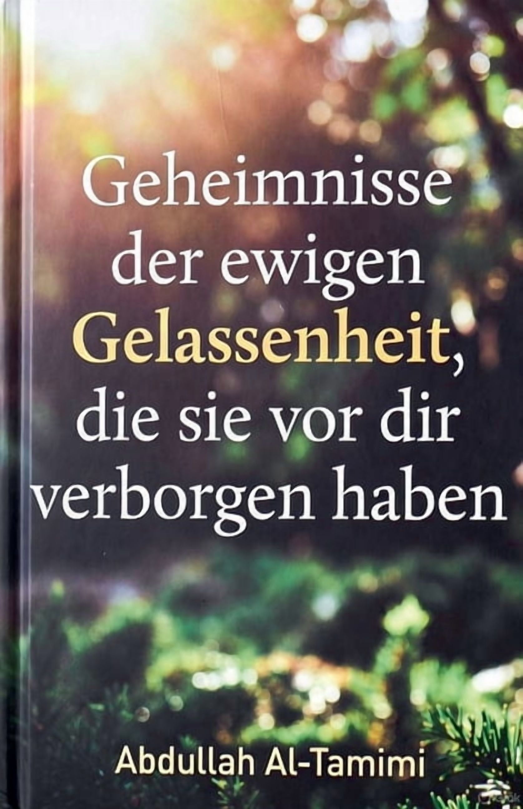 Geheimnisse der ewigen Gelassenheit, die sie vor dir verborgen haben, (Paperback)