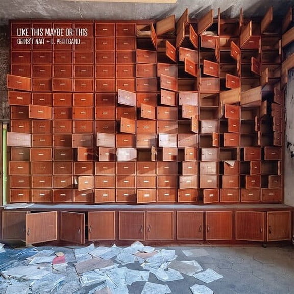 Geins't Nait / Petitgand,Laura - Like This Maybe Or This - Music & Performance - Vinyl