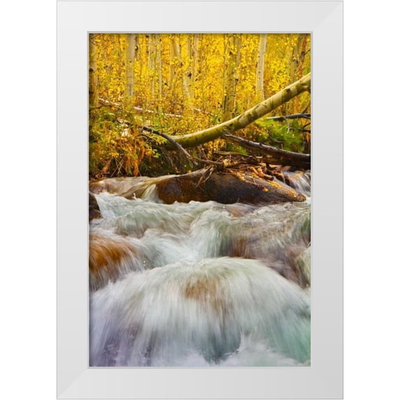 Geistweite, Mark 11x14 White Modern Wood Framed Museum Art Print Titled - Autumn Brook
