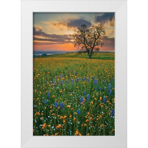 Geistweite, Mark 13x18 White Modern Wood Framed Museum Art Print Titled - Bear Mountain