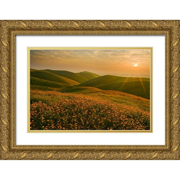 Geistweite, Mark 18x13 Gold Ornate Wood Framed with Double Matting Museum Art Print Titled - Spring Riot I
