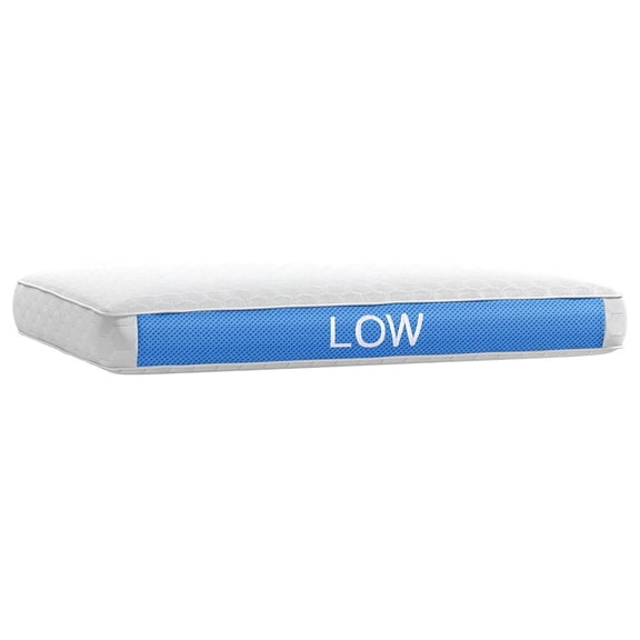 Gel Layer Reversible 2-in-1 Cool Ice Low Pillow in White/Blue
