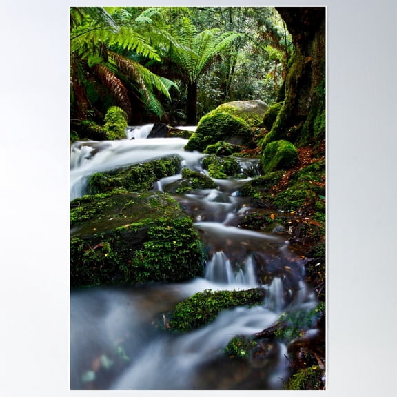 Gem Of The Forest Poster Wall Art, Modern Wall Decor For Living Room Bedroom, 8x12 UNFRAMED