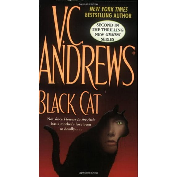Pre-Owned Black Cat (Mass Market Paperback) 0743428609 9780743428606