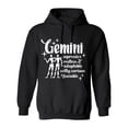 thumbnail image 1 of Gemini Expressive Restless Adaptable Witty Curious Sociable Sarcastic Humor Novelty Funny Men's Hoodies, 1 of 2