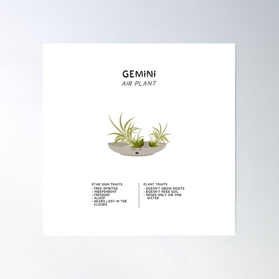 Gemini - Zodiac X Plant Poster Wall Art, Modern Wall Decor For Living Room Bedroom, 30x30 UNFRAMED