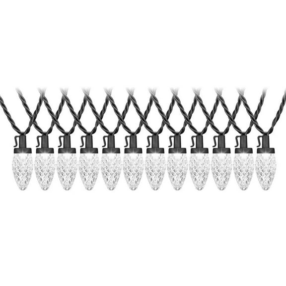 Gemmy LightShow 24-Count ColorMotion Multi-Function C9 Light String White