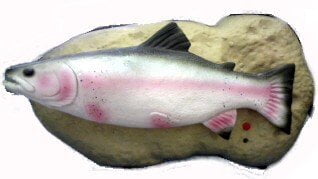Poisson Chantant Vintage Gemmy - Travis The Singing Trout - Fonctionnel, Excellent état - Testé