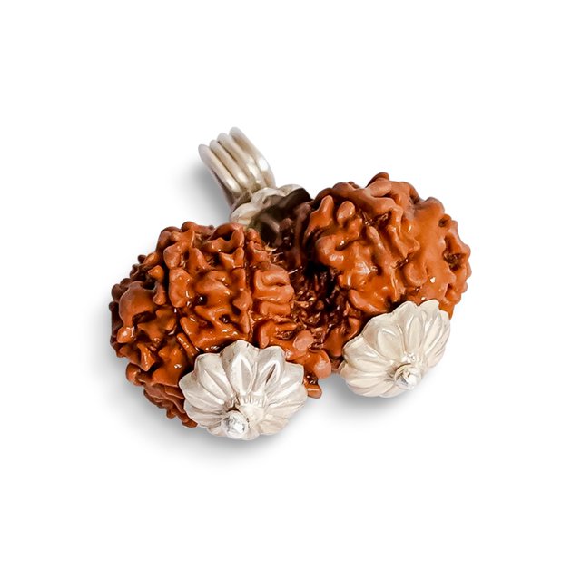 Gemsmantra Gauri Shankar Rudraksha Pendant Original Nepali Natural