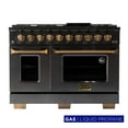 thumbnail image 1 of Gemstone Professional 48-in Propane Gas Range in Titanium Stainless Steel, 1 of 17