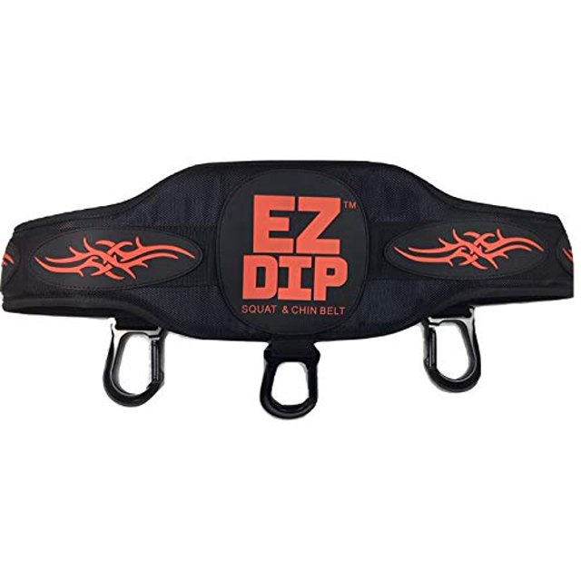Gen 2' EZ DIP Squat & Chin UP Belt wit Dumbbell Hook & Plate Load Pin