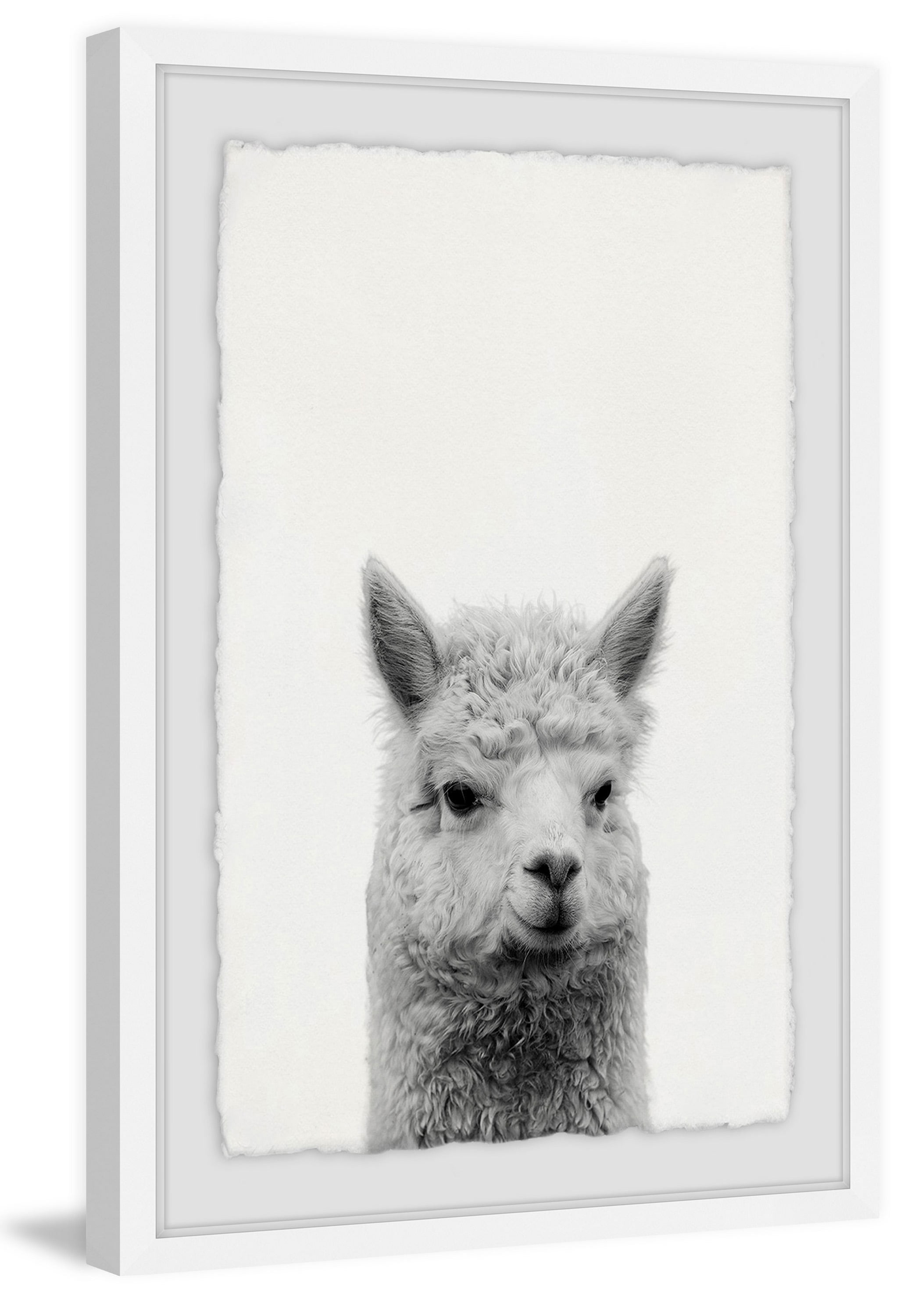 Gen X Llama Framed Painting Print