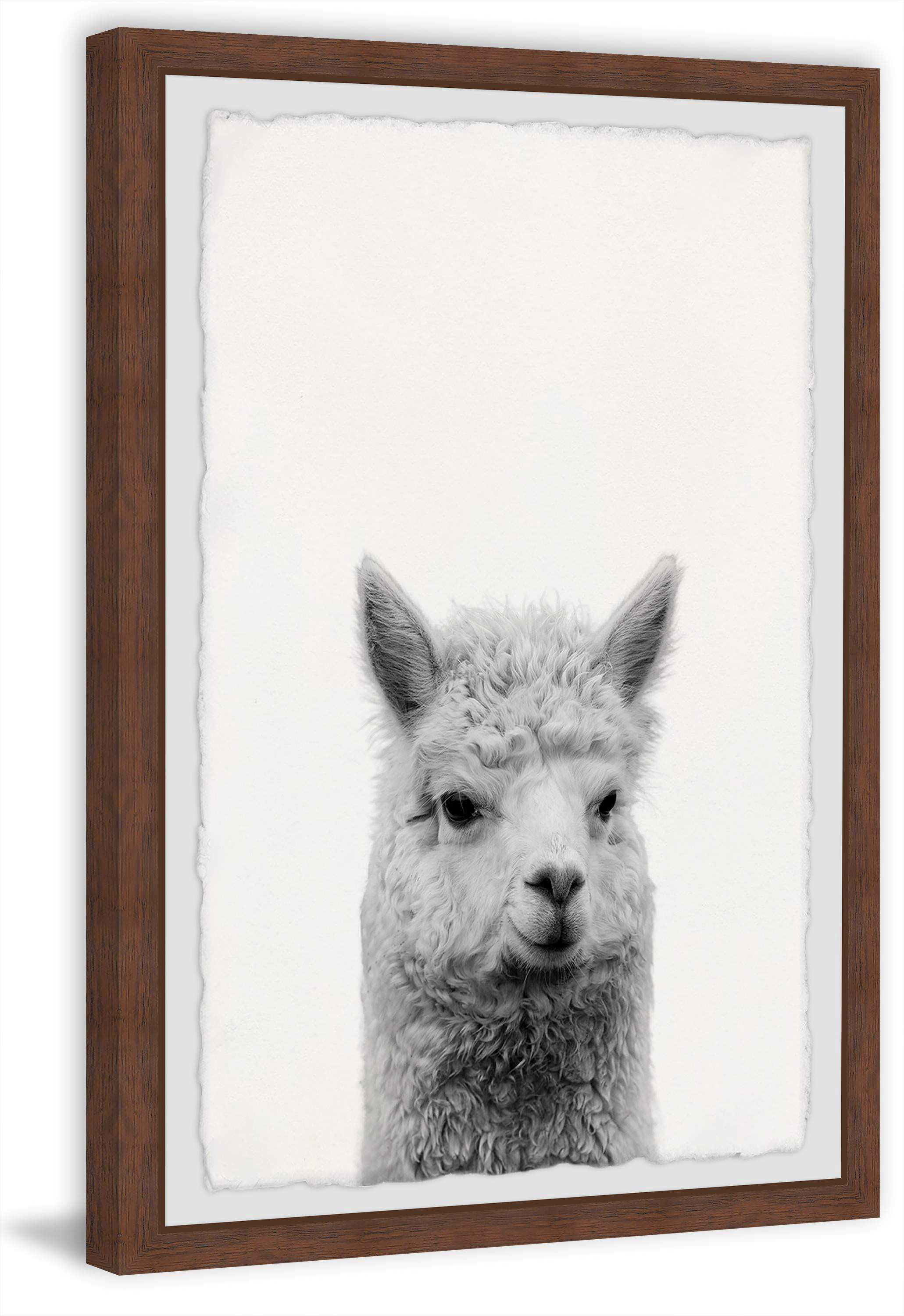 Gen X Llama Framed Painting Print