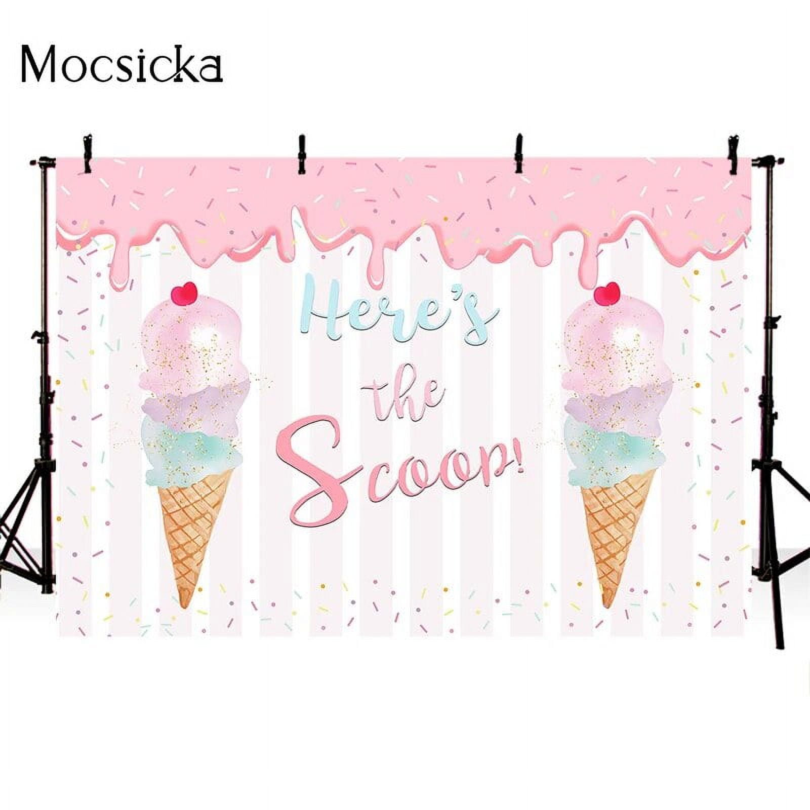 Gender Reveal Backdrop Boy or Girl Photography Background Pink Blue