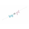 thumbnail image 1 of Gender Reveal - Blue/Pink Banner, 1 of 1