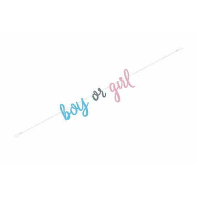 Gender Reveal - Blue/Pink Banner
