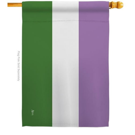 Genderqueer Pride Support 28 x 40 in. Double-Sided Decorative Horizontal House Flags for Decoration Banner Garden Yard Gift