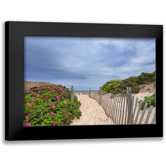 Gendreau, Katherine 18x13 Black Modern Framed Museum Art Print Titled - Rose Path
