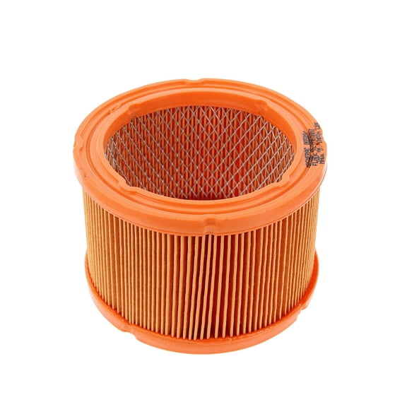 Generac Genuine OEM Replacement Air Filter - 0G5894