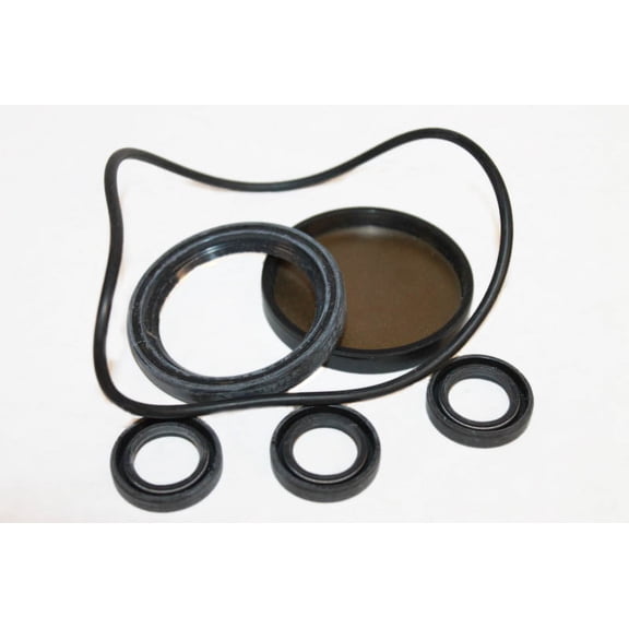 Generac 202B2126 oil seal kit Portables Pressure Washer GEN-202B2126